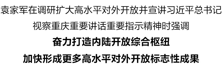 袁家军：奋力打造内陆开放综合枢纽 加快形成更多高水平对外开放标志性成果