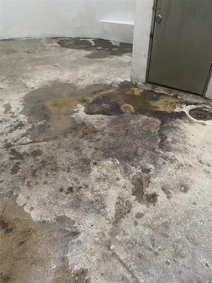 中国留学生国外坠亡 家属：离毕业不到10天，部分财物遗失