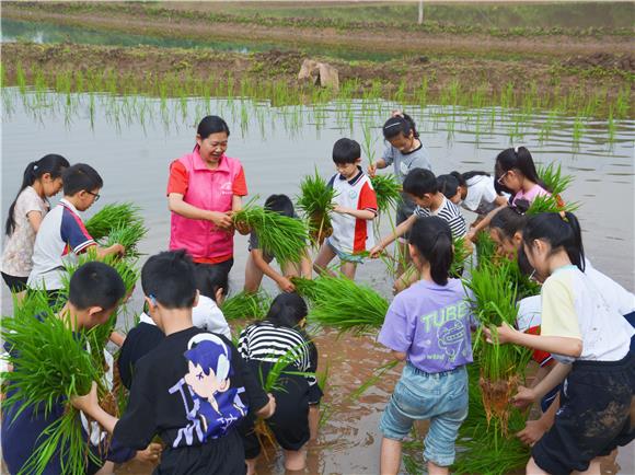 璧山区妇联开展巾帼种粮兴粮“双学双比”志愿服务活动