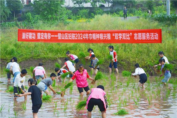 璧山区妇联开展巾帼种粮兴粮“双学双比”志愿服务活动