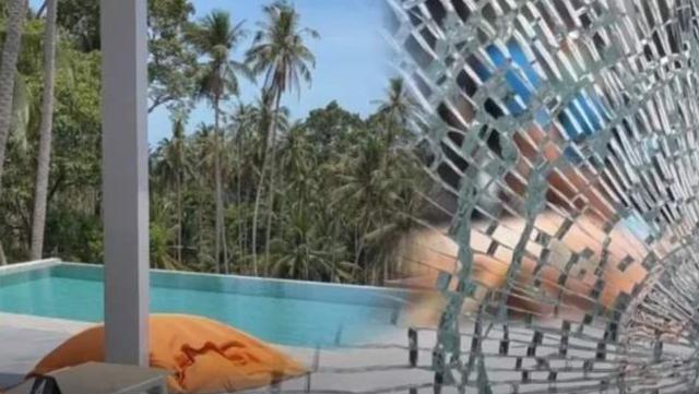 法国女雇主神秘中枪身亡，泰国女佣自称意外获赠亿万遗产和三只猫