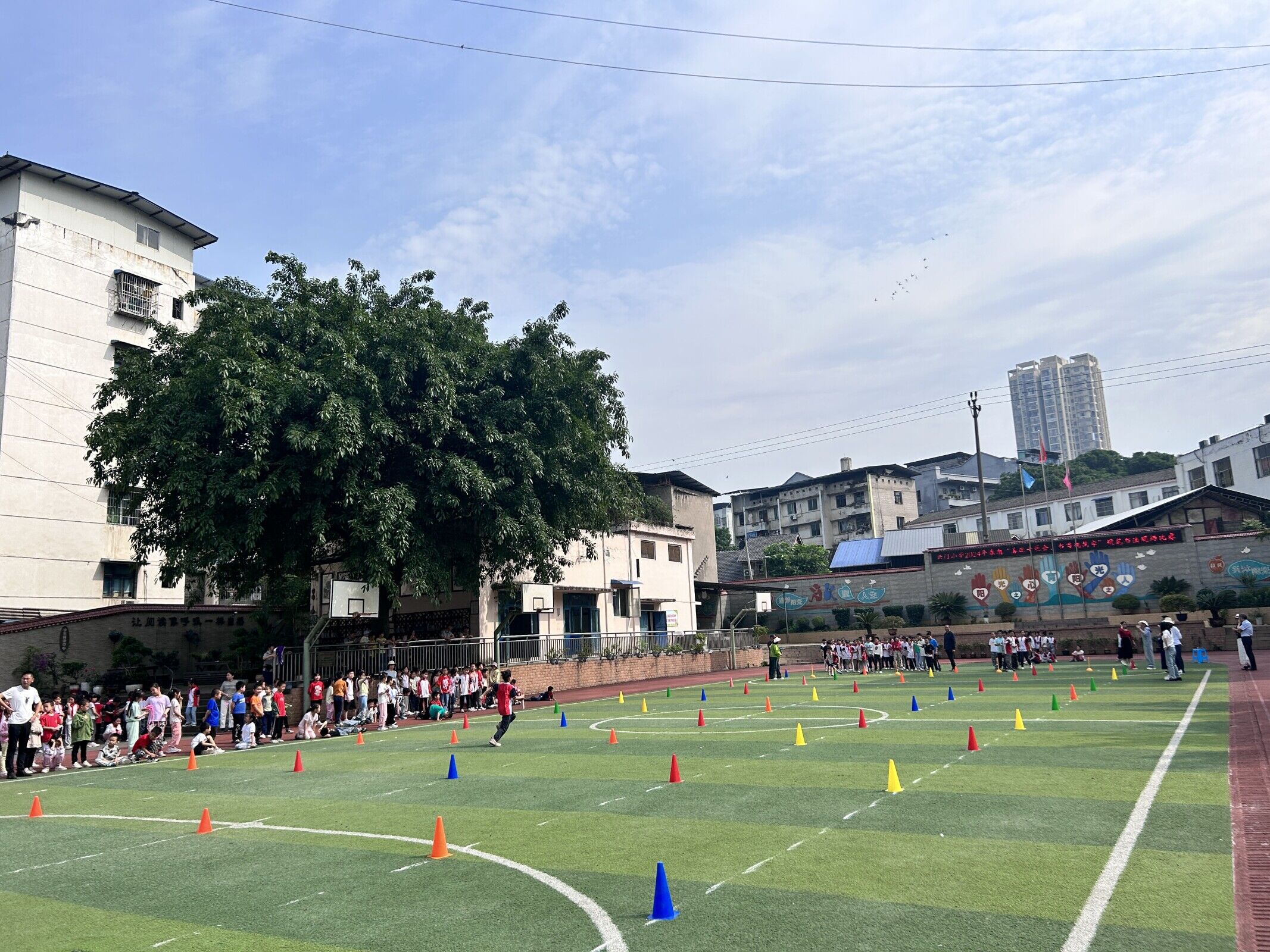 合川小学划片区域图图片