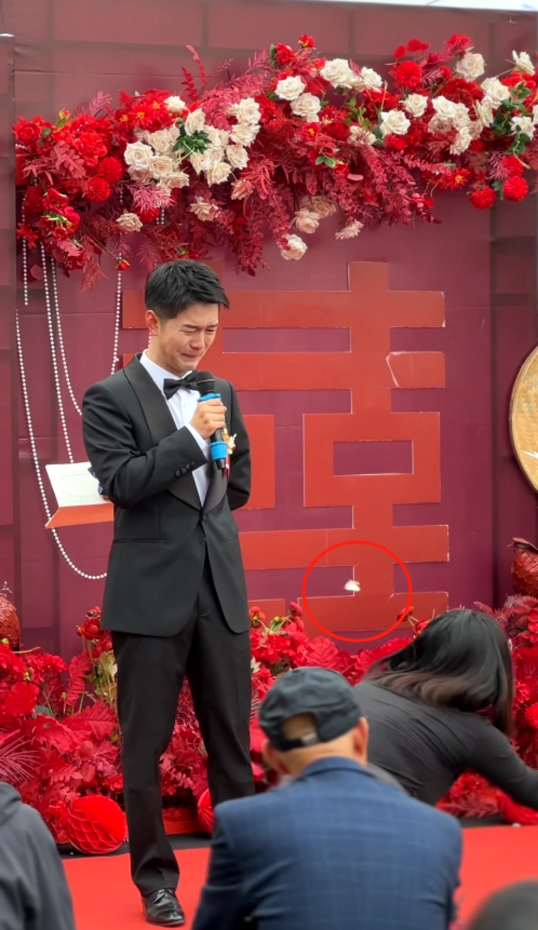 外婆化作蝴蝶来参加我的婚礼了