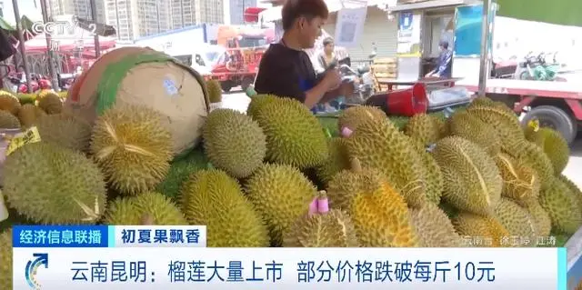 云南昆明榴莲大量上市,部分价格跌破每斤10元