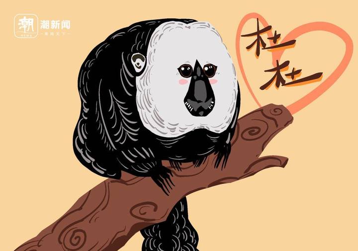 未命名图片