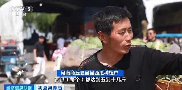 云南昆明榴莲大量上市,部分价格跌破每斤10元