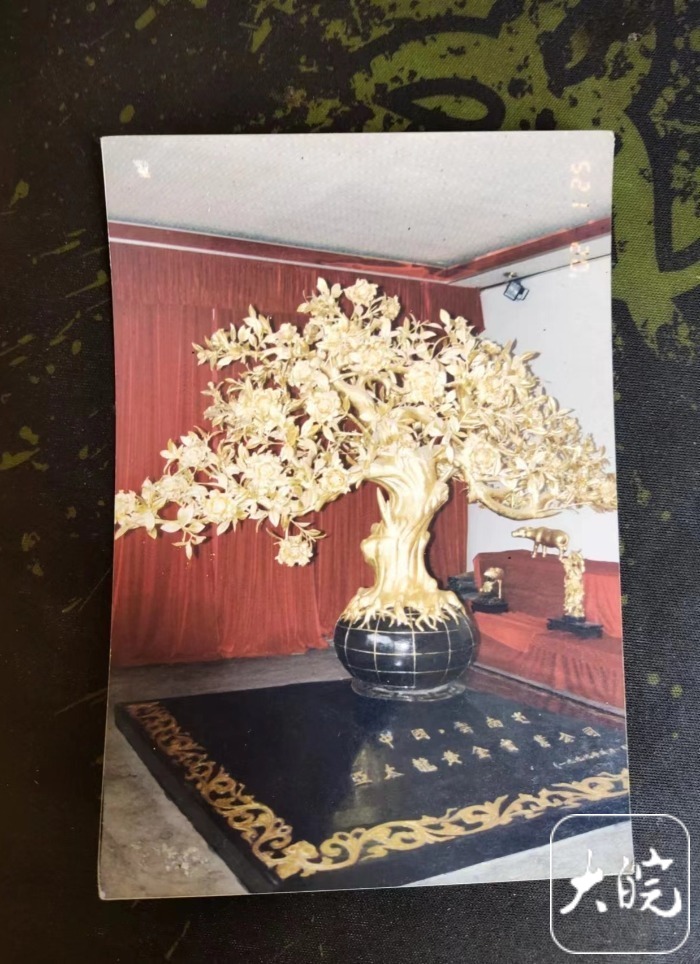 总价值上亿的金茶花在银行不翼而飞?云南多方回应