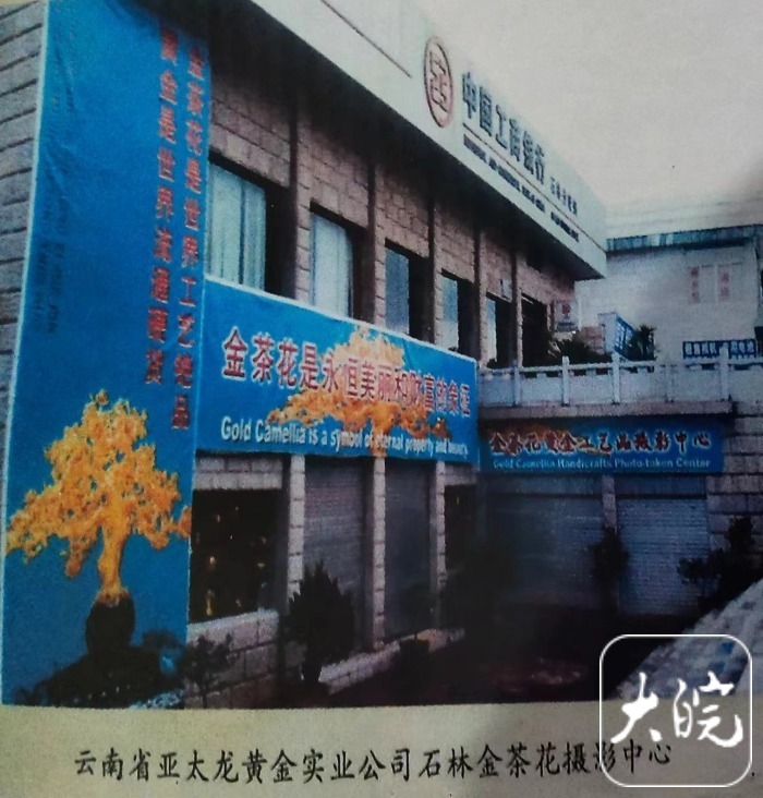 总价值上亿的金茶花在银行不翼而飞?云南多方回应