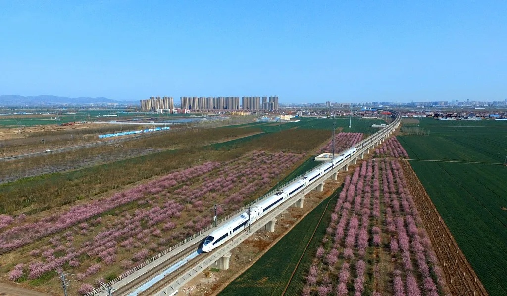 广州规划高速磁浮！600公里时速安全吗？何时能像高铁一样普及？