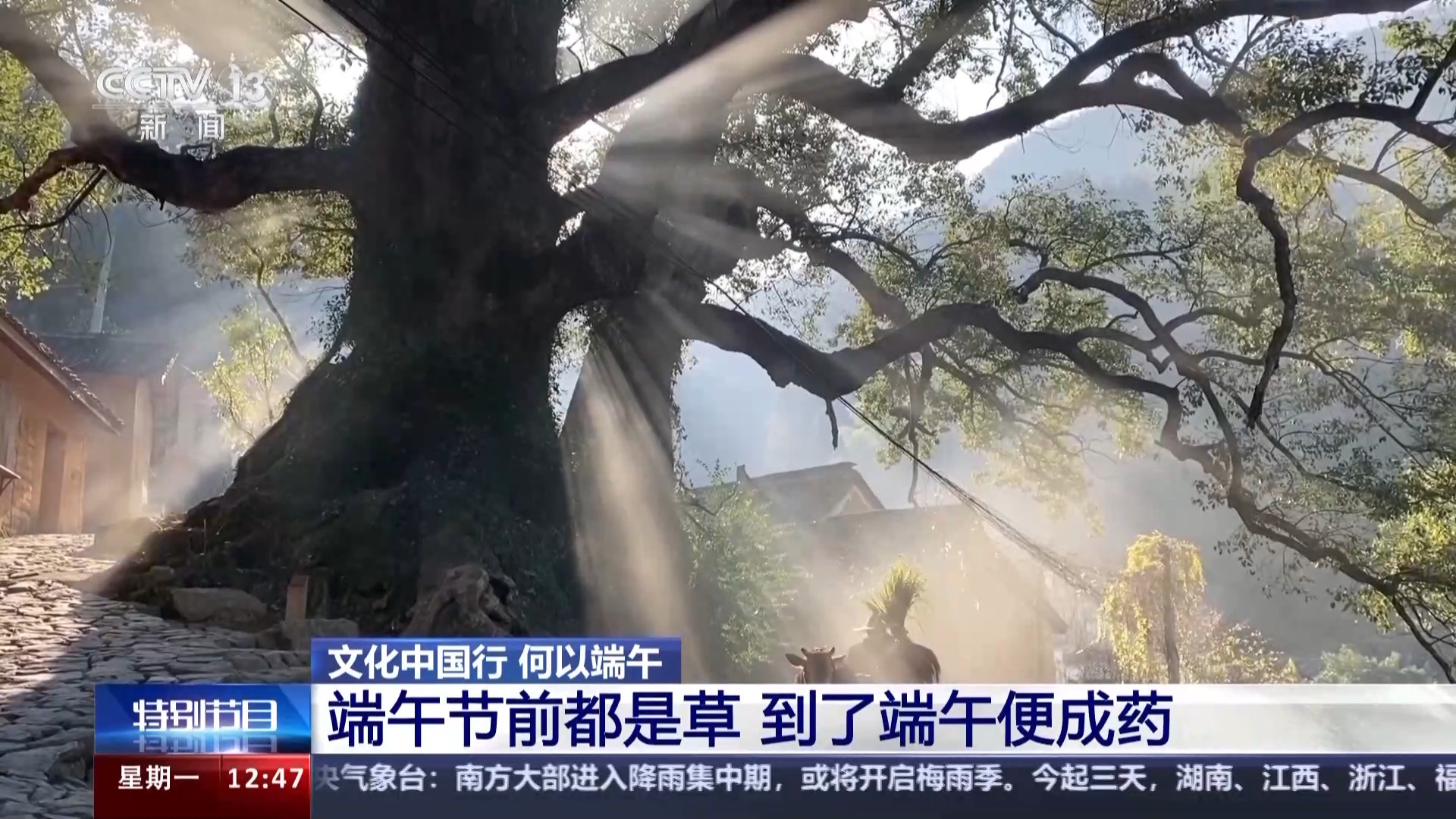 我国最早的“卫生防疫日”！战国前，古人就流行端午采药了