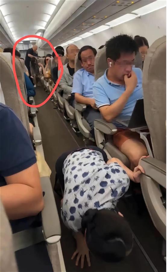 女子将仓鼠带上飞机致全体旅客下机？上海虹桥国际机场：确有人带小动物登机