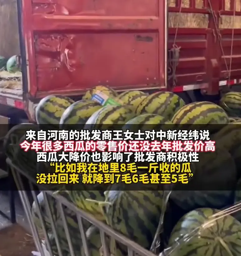 西瓜价格大降，每斤跌破个位数！商户：接下来更便宜