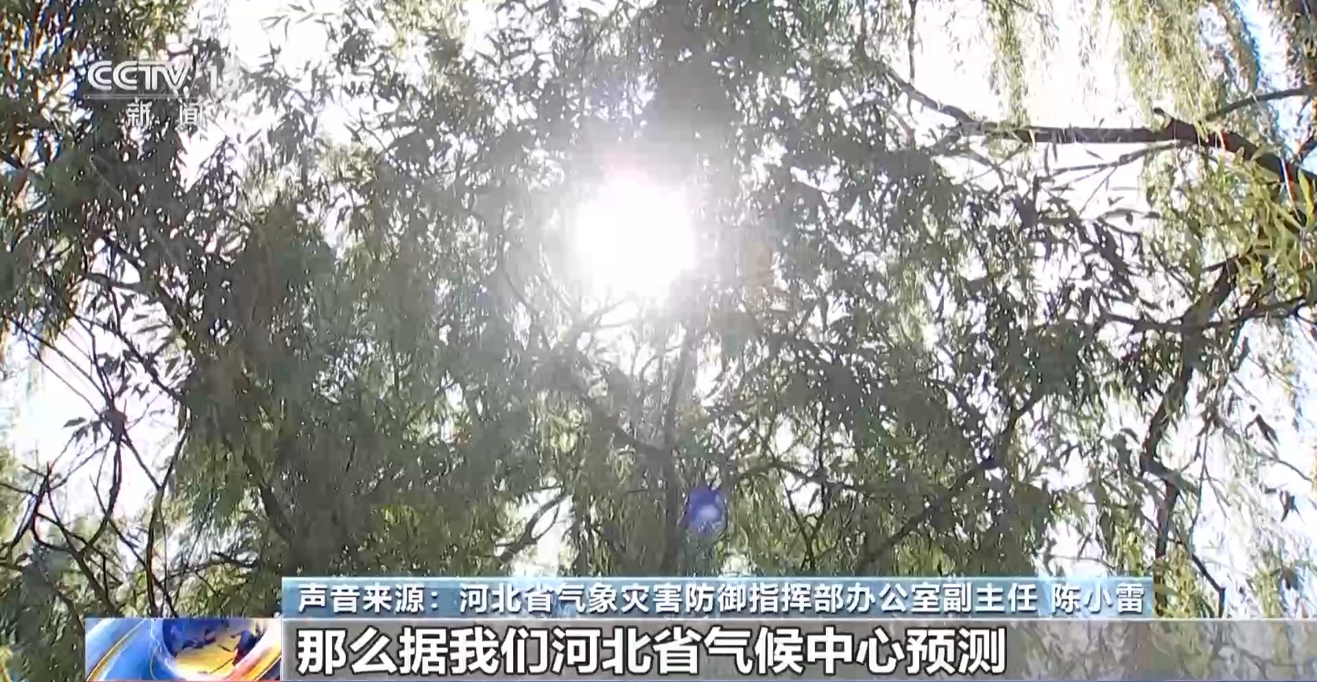 高温频发 未来城市如何“应烤” 有啥“凉方”？