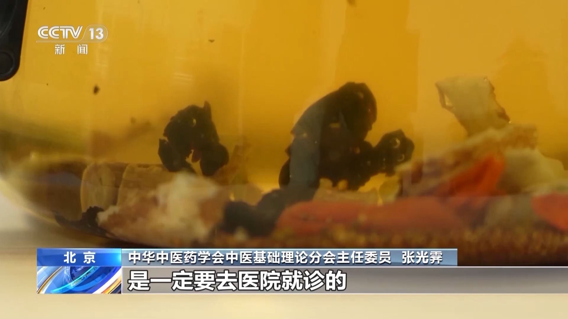 这种饮料对身体好建议你夏天多喝 乌梅汤2.0受年轻人关注