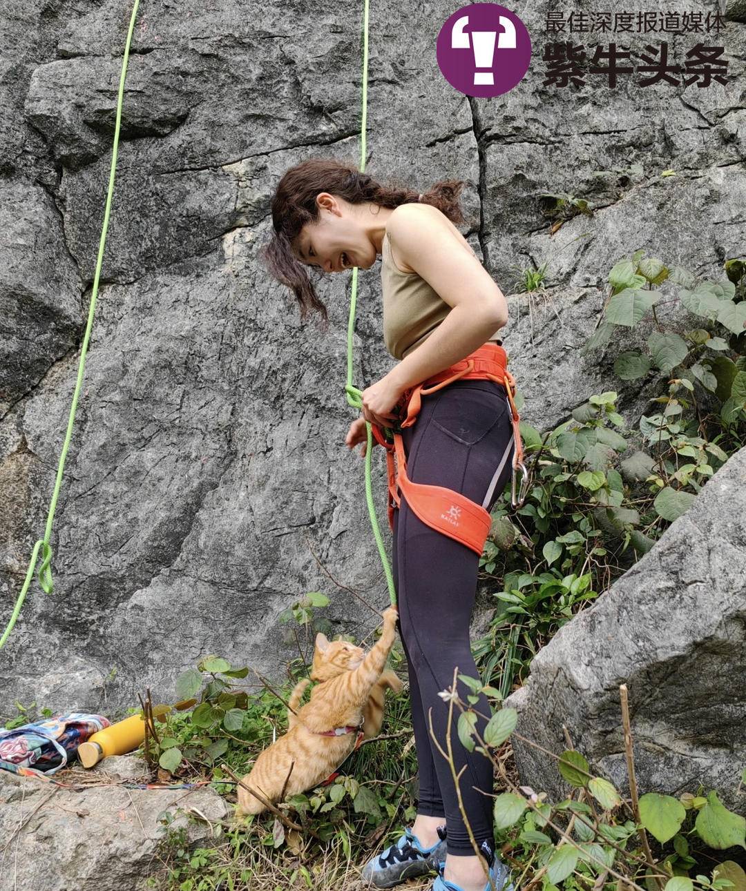 这只极限运动小猫火了!被攀岩运动员捡到,如今成了“团宠”