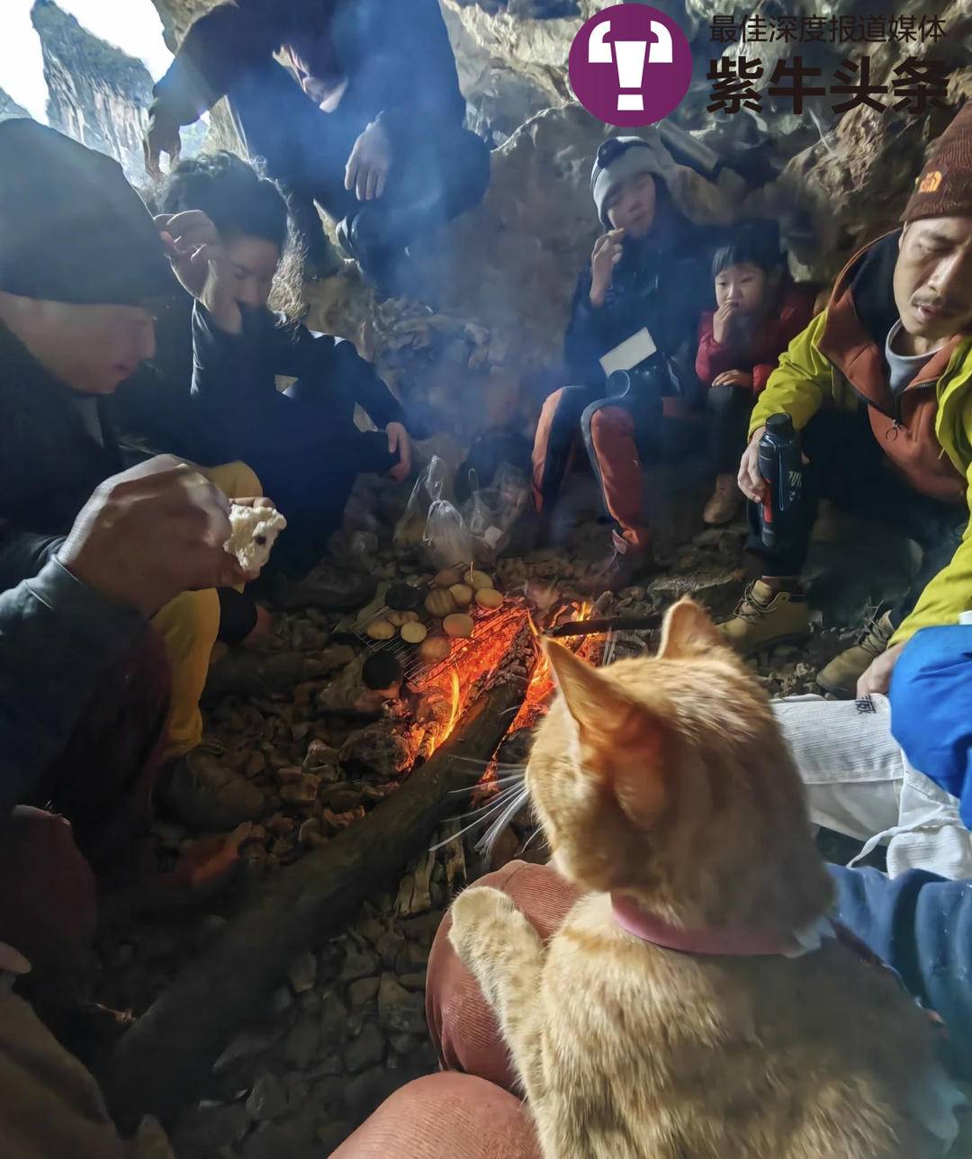 这只极限运动小猫火了!被攀岩运动员捡到,如今成了“团宠”
