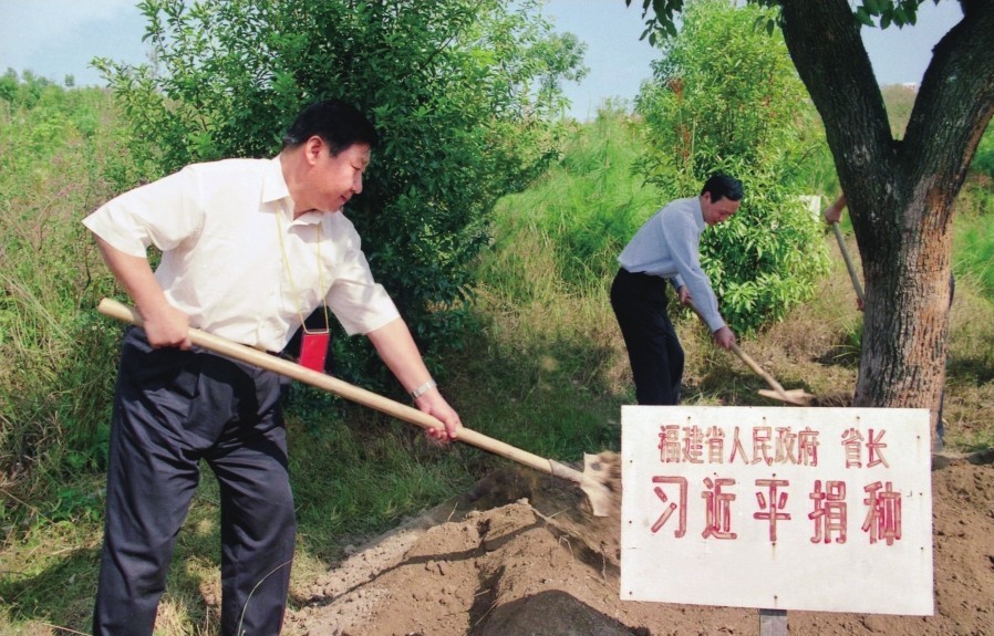 学习·故事丨香樟为证 治山治水写传奇