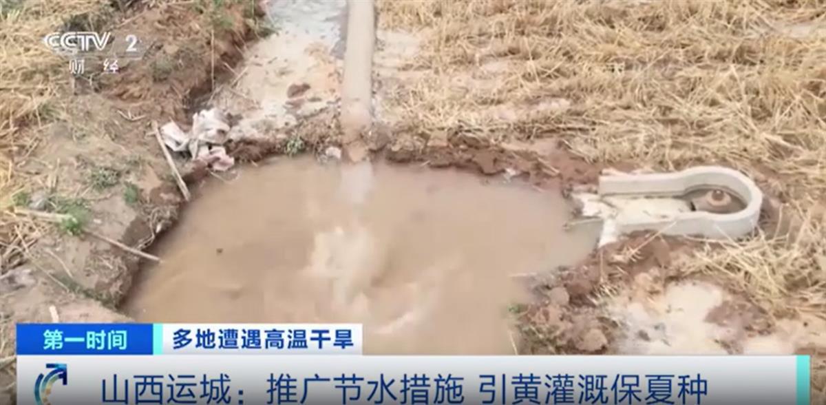 山西闻喜县久旱后迎来小雨：村民蹲守田间引水18小时给玉米“解渴”