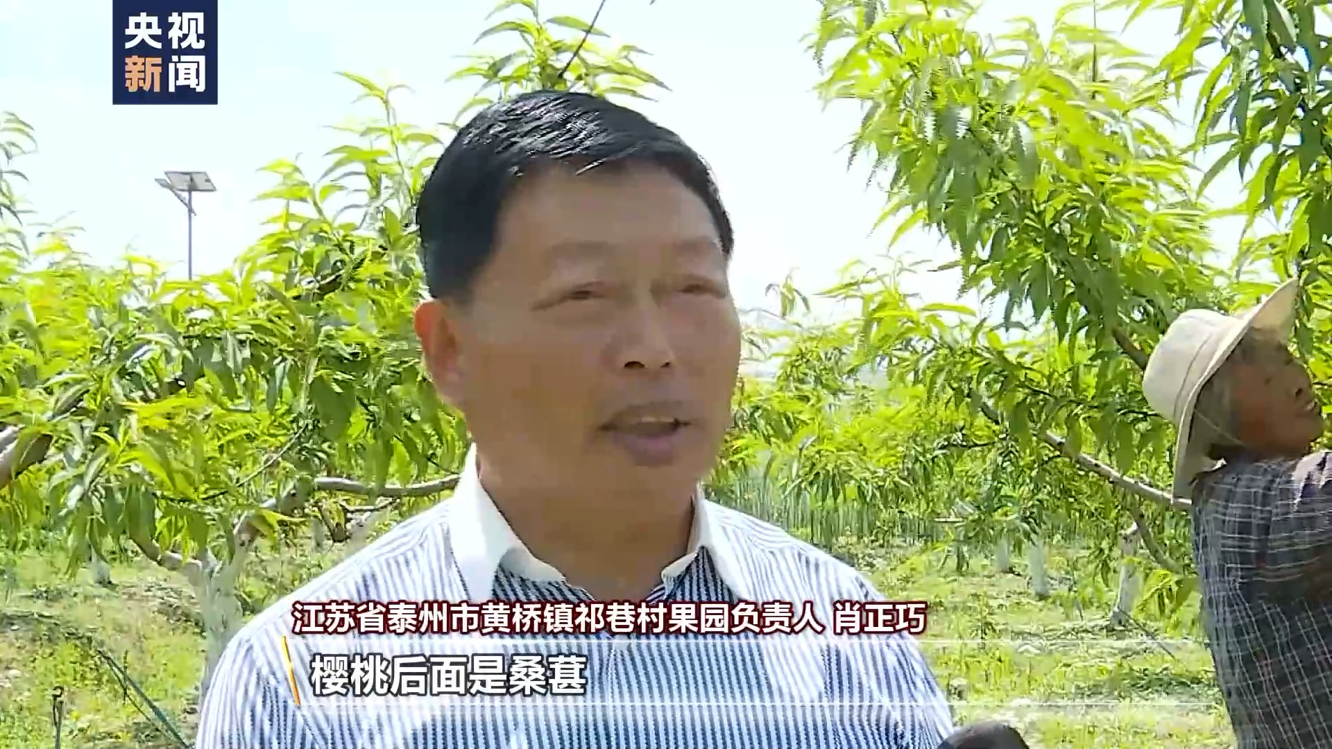 吃不过来了！这些时令水果陆续甜蜜上市