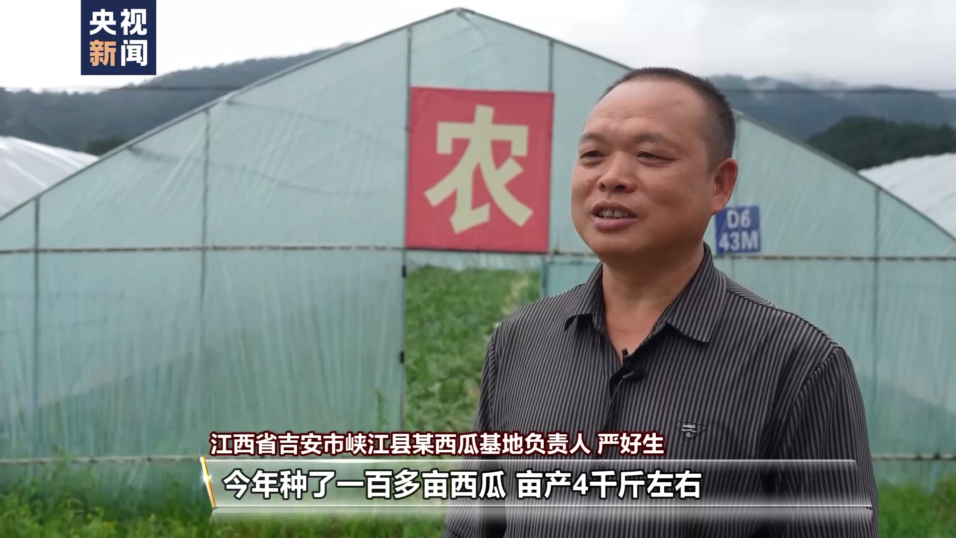 吃不过来了！这些时令水果陆续甜蜜上市