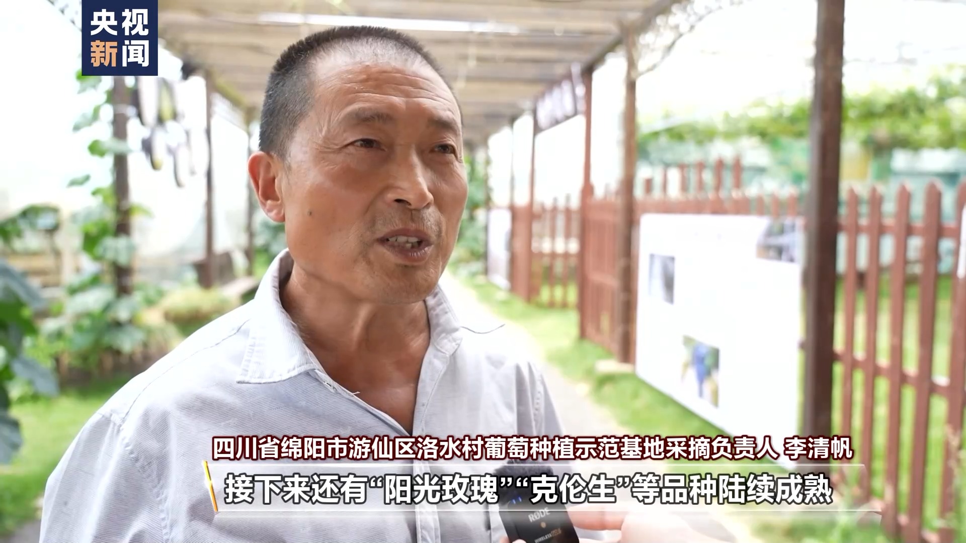 吃不过来了！这些时令水果陆续甜蜜上市
