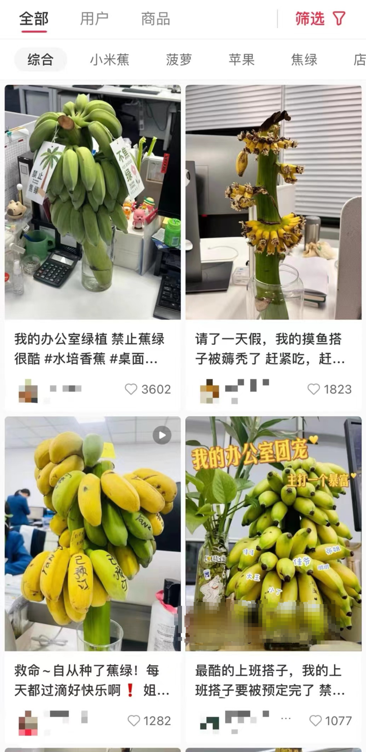 “不焦绿”热销10万单，“一串香蕉”如何火遍全网