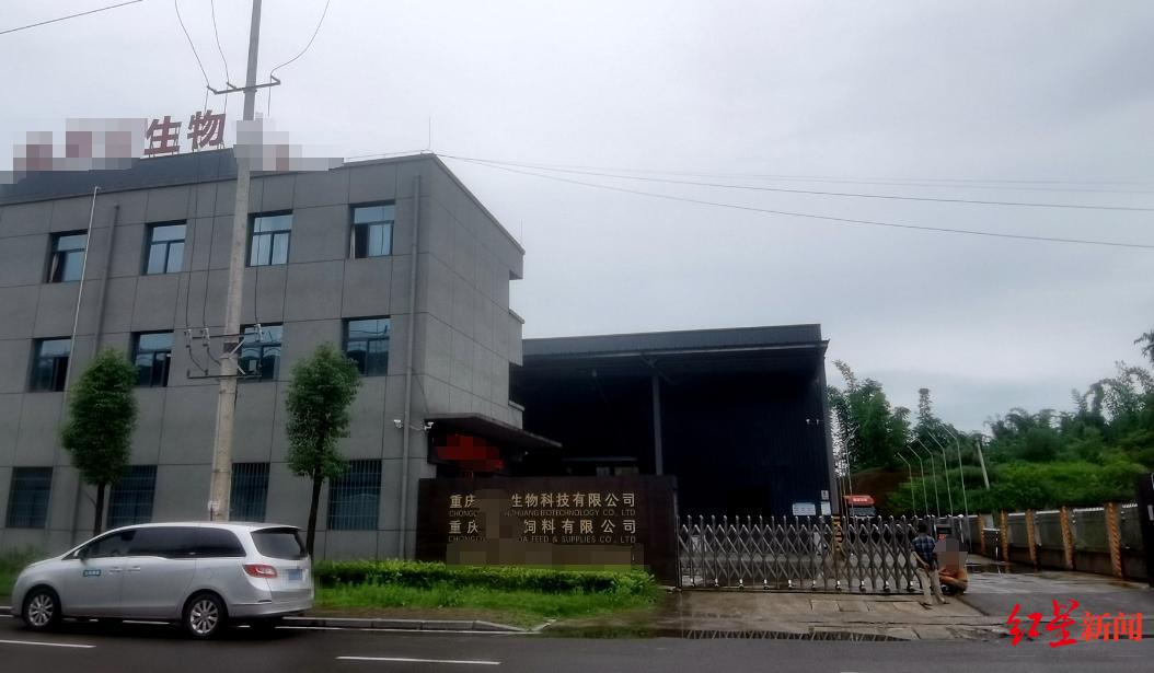 小龙虾死亡调查：多家养殖户称死因为饲料发霉损失超300万，厂家否认，警方立案