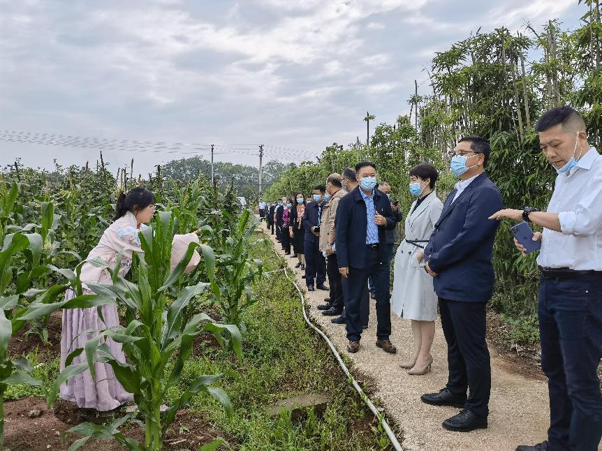 全区劳动教育现场推进会在龙西中学召开