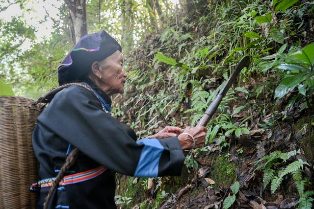 湖南大山里的102岁瑶医爆火！吸引各地患者求医，看诊预约已经排到了8月……