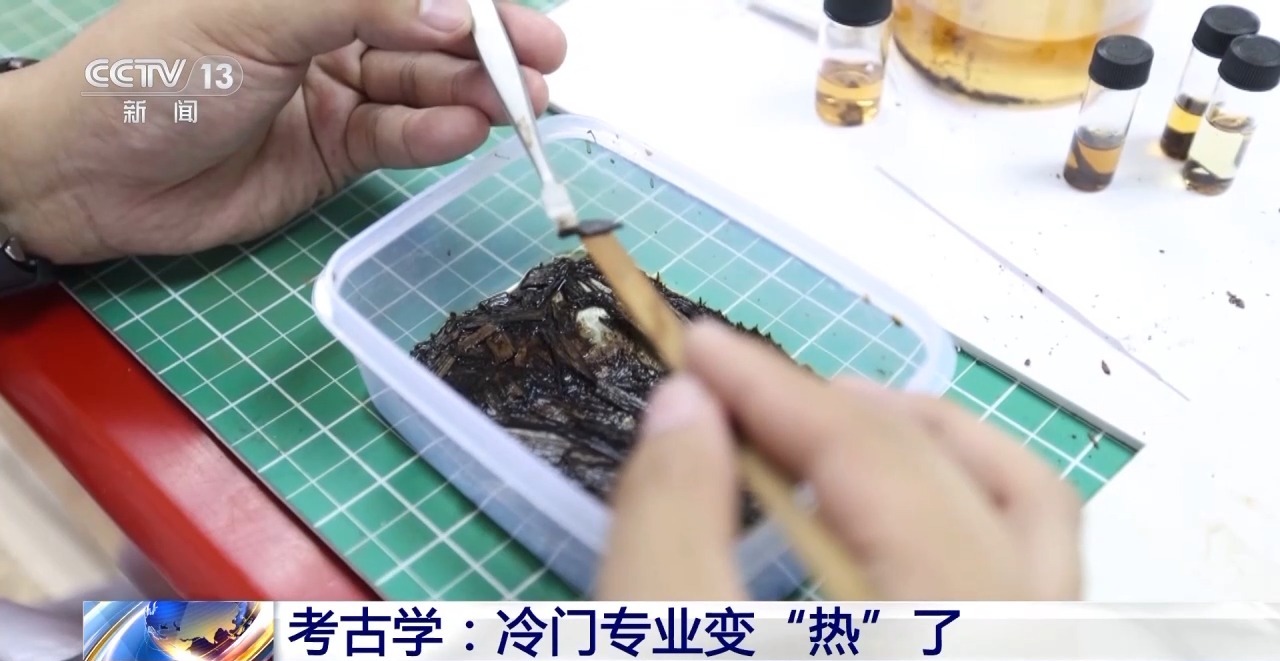 冷门专业变“热”了 快来看一下你适合考古吗
