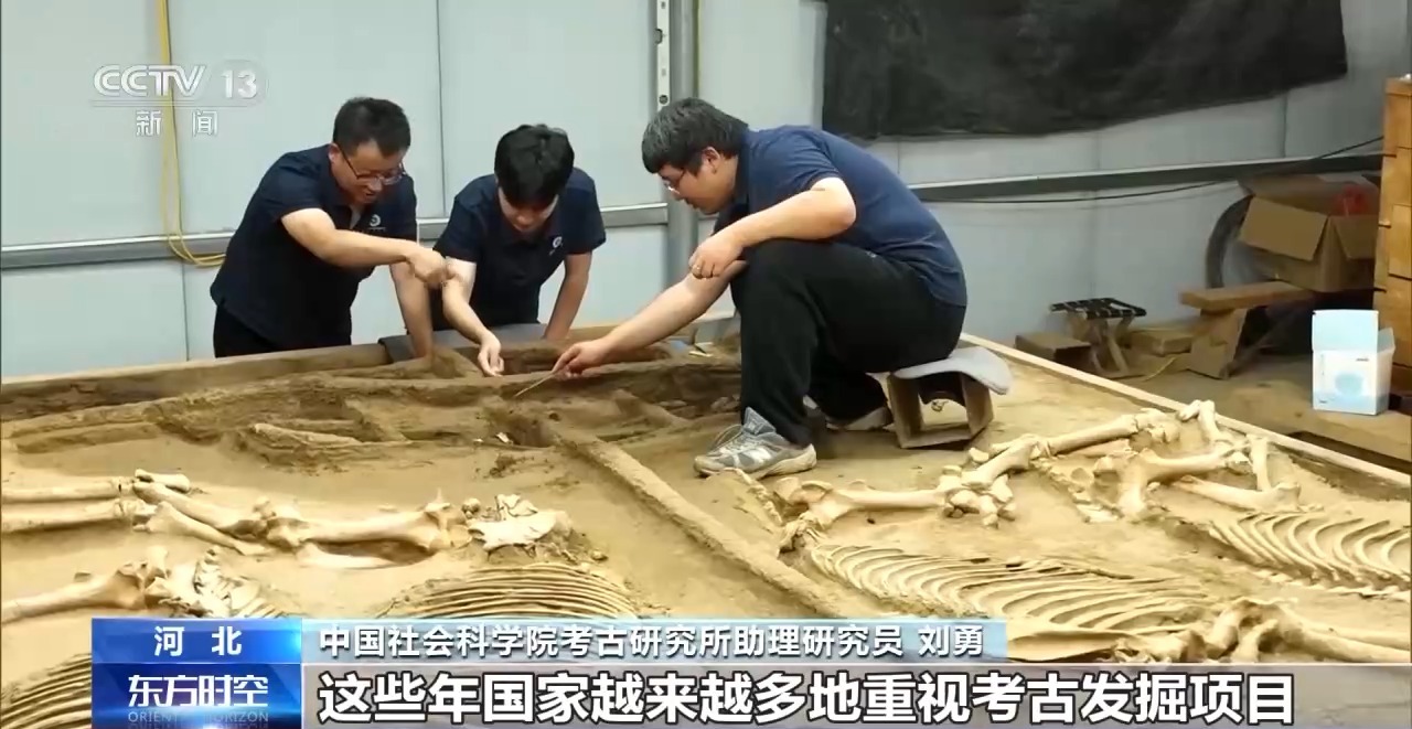 冷门专业变“热”了 快来看一下你适合考古吗