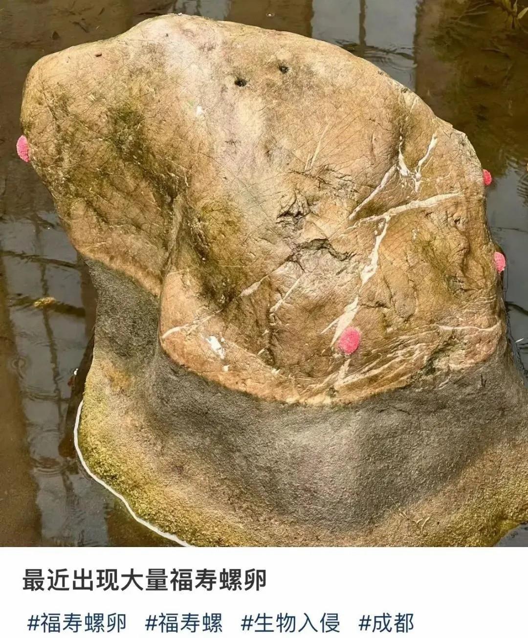 未命名图片