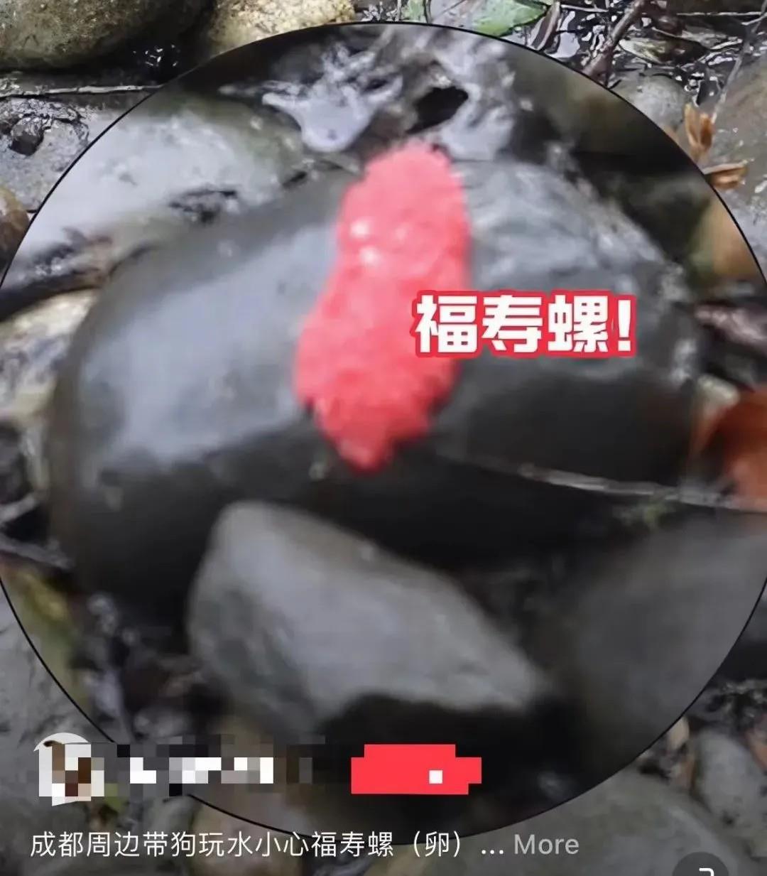 未命名图片