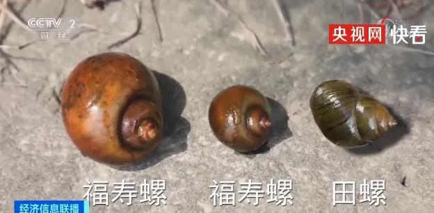 未命名图片