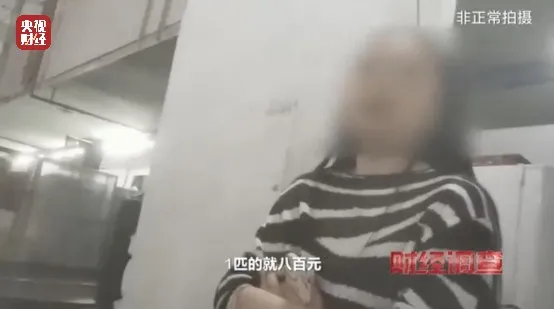 未命名图片