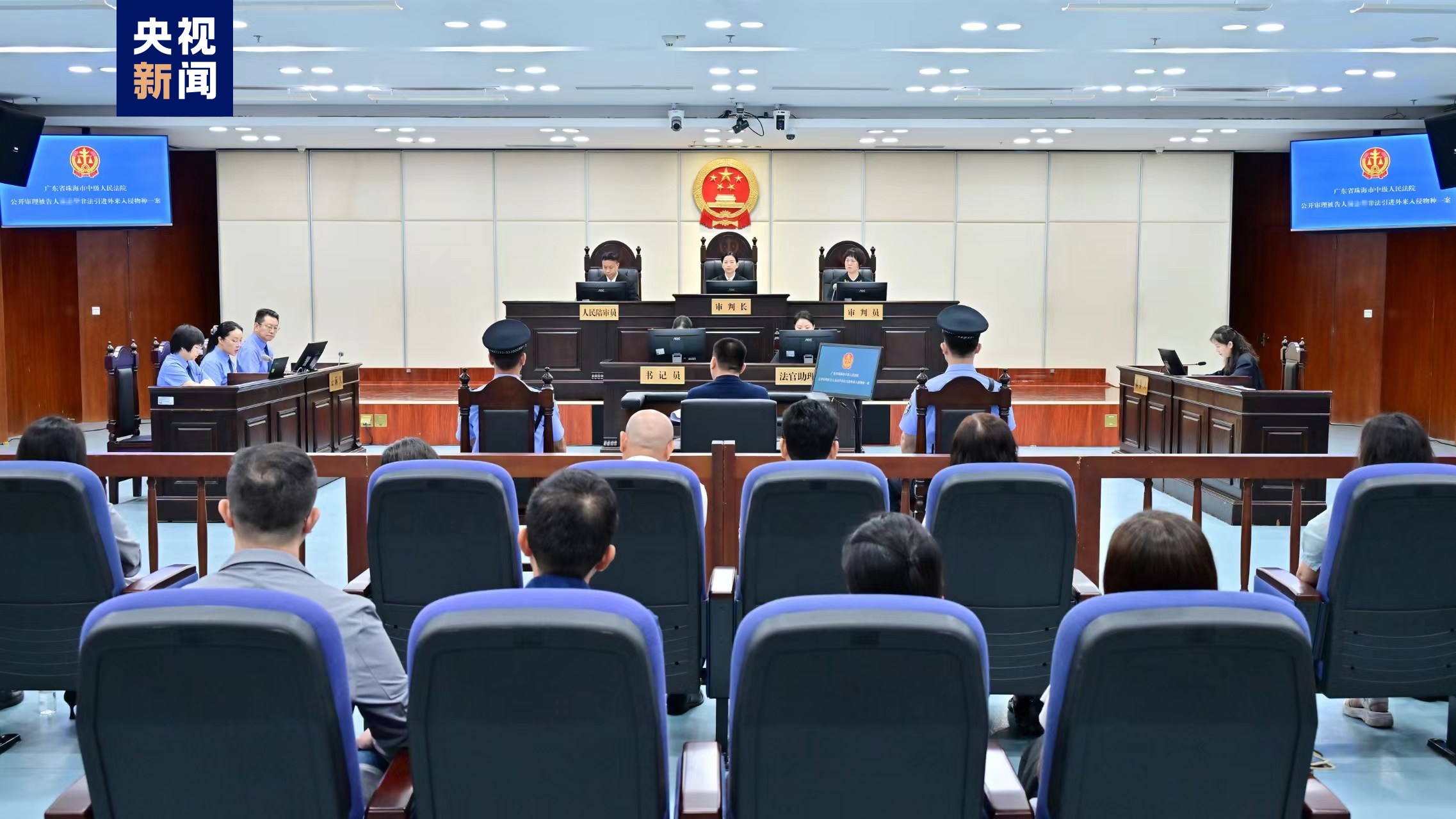 1760只红耳龟！全国首例非法引进外来入侵物种案一审开庭