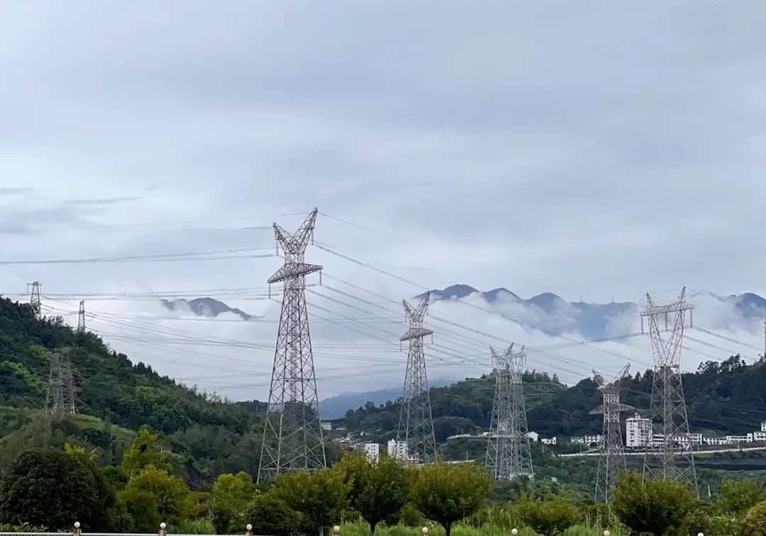 鼎信通讯被国家电网“拉黑”两年，损失或达33亿元！股民曾灵魂拷问：你们有26个博士741个硕士，搞芯片市值不如香飘飘？