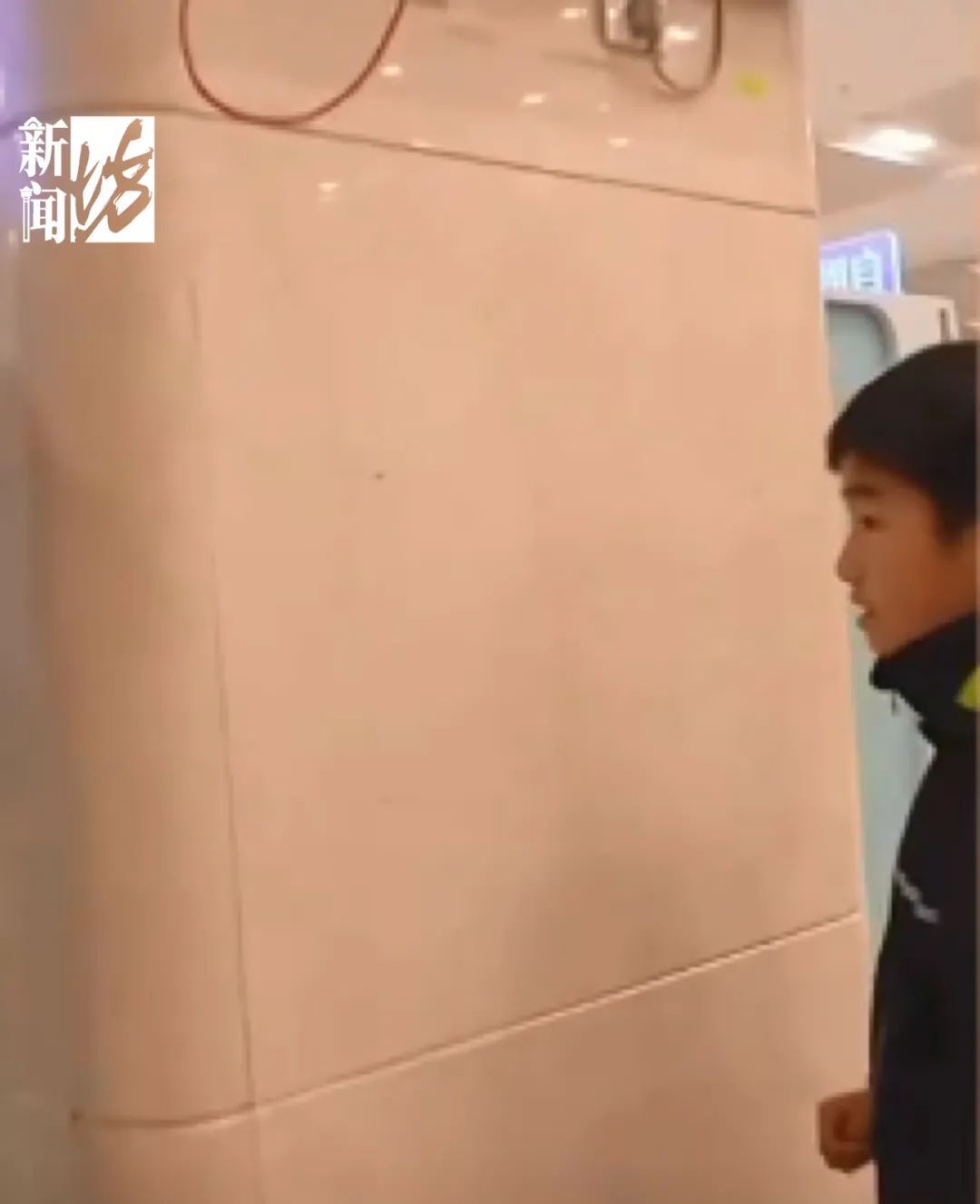 10岁小学生在瑞金医院发现上亿年前化石