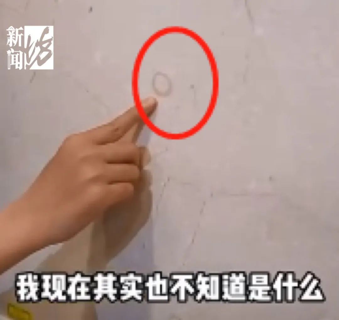 10岁小学生在瑞金医院发现上亿年前化石