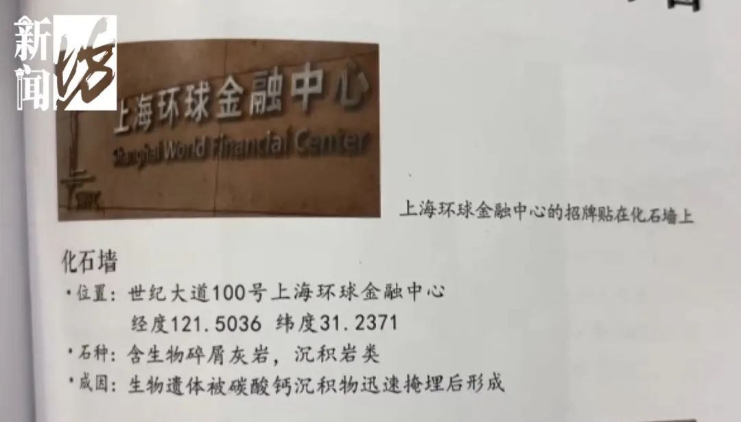 10岁小学生在瑞金医院发现上亿年前化石