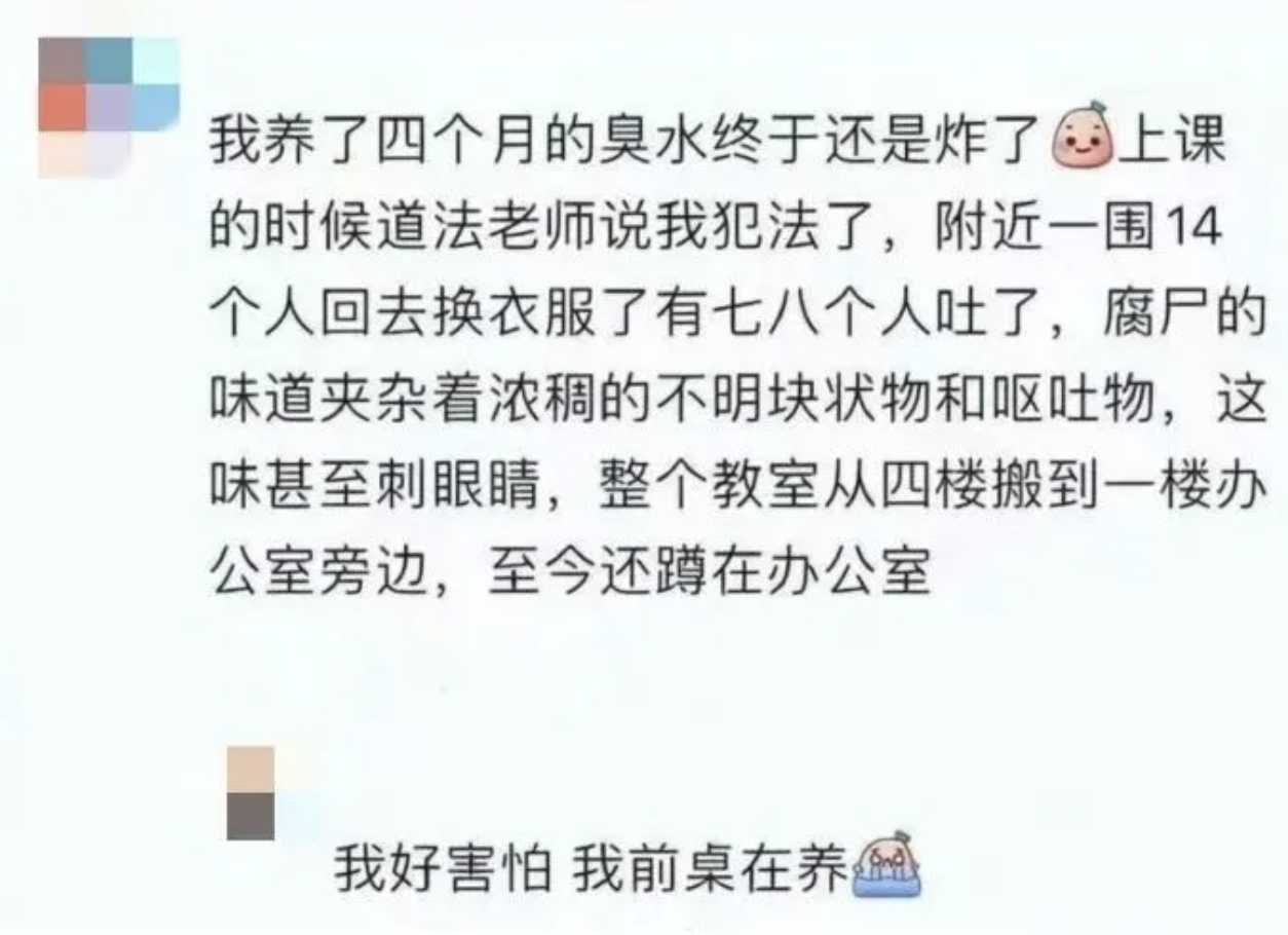 危险的“养臭水”入侵校园，迷惑之余如何应对？