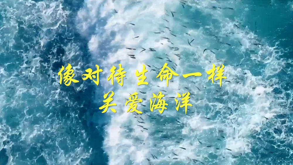 微视频｜像对待生命一样关爱海洋