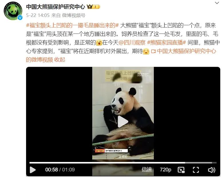 “福宝”在中国“受虐”？韩网友关心可以但指控无据