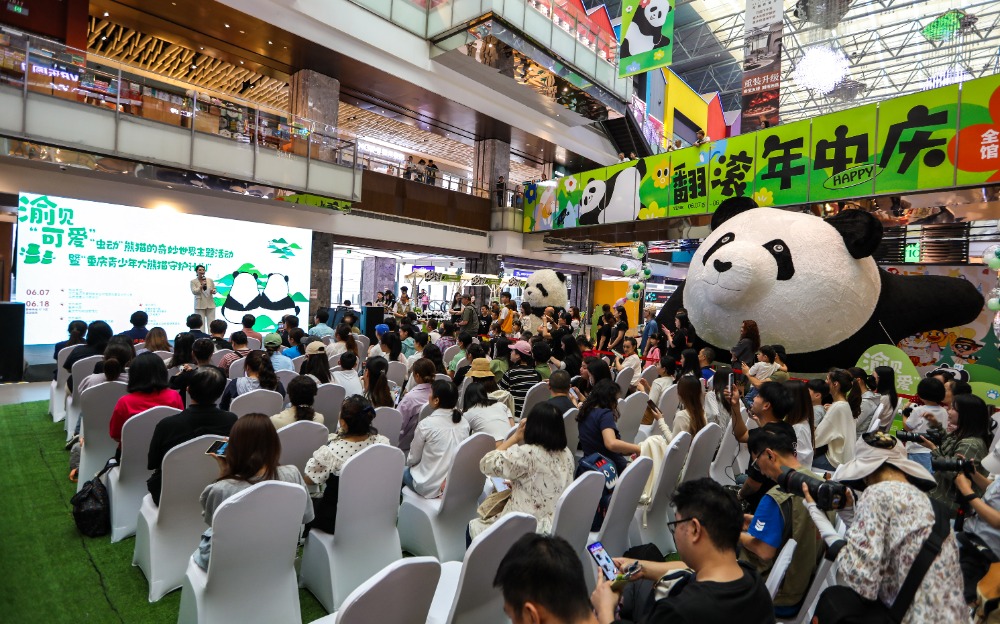 图片新闻 | 探寻熊猫奇妙世界 共赴高萌科普之旅