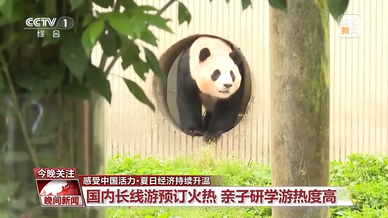 夏日经济持续升温 “暑期游”玩法多样“嗨”一夏