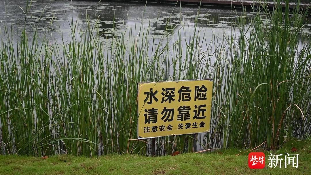 “那是一条生命，不会游泳也得想办法救！”苏州七旬保洁阿姨智救17岁溺水少女