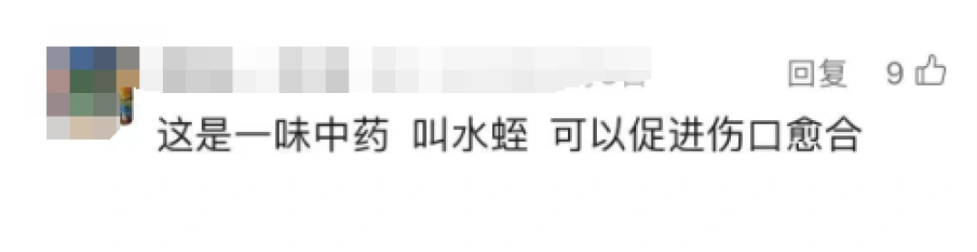 2000元/斤，这东西意外值钱！长相恶心被称“童年阴影”，有人当副业大赚
