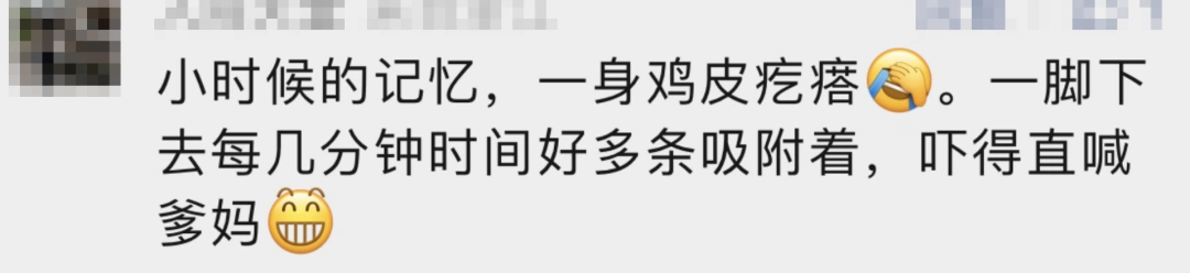2000元/斤，这东西意外值钱！长相恶心被称“童年阴影”，有人当副业大赚