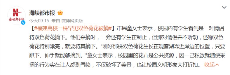 福建农林大学罕见双色荷花疑被一对情侣摘走，理由是“好看”