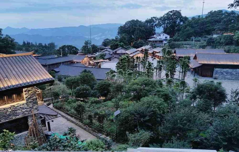 图二为金丝楠木村景